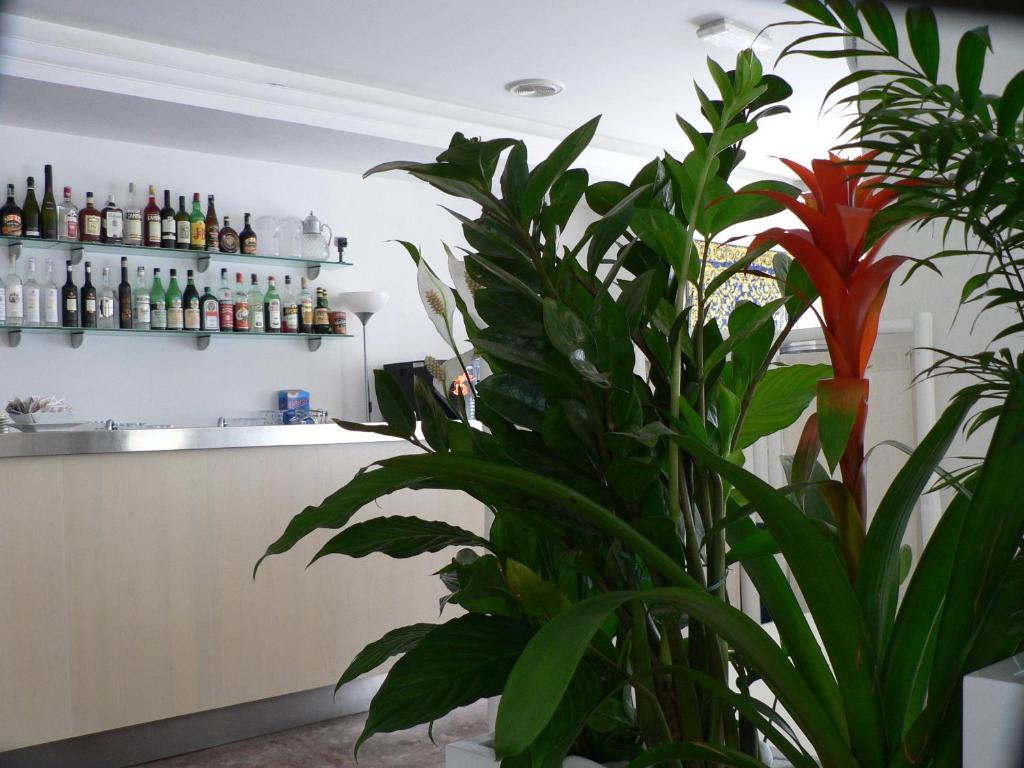 Hotel Haiti Мілано-Маріттіма Екстер'єр фото